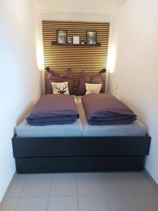 Ferienwohnung Lina Mit Toller Terrasse Im Schwarzwald 波瑙施华瓦尔 外观 照片